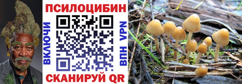 Псилоцибиновые грибы ЛСД  Суворов 