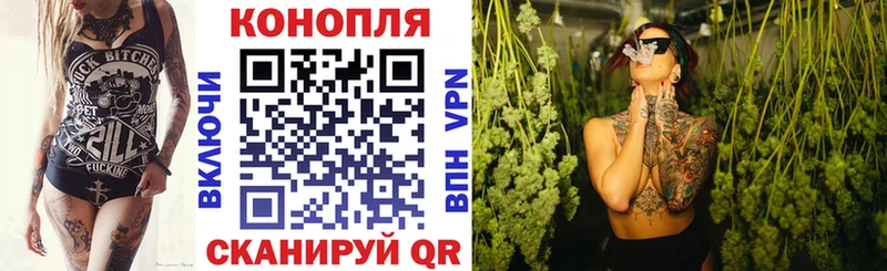 наркотики  Суворов  Бошки Шишки сатива 